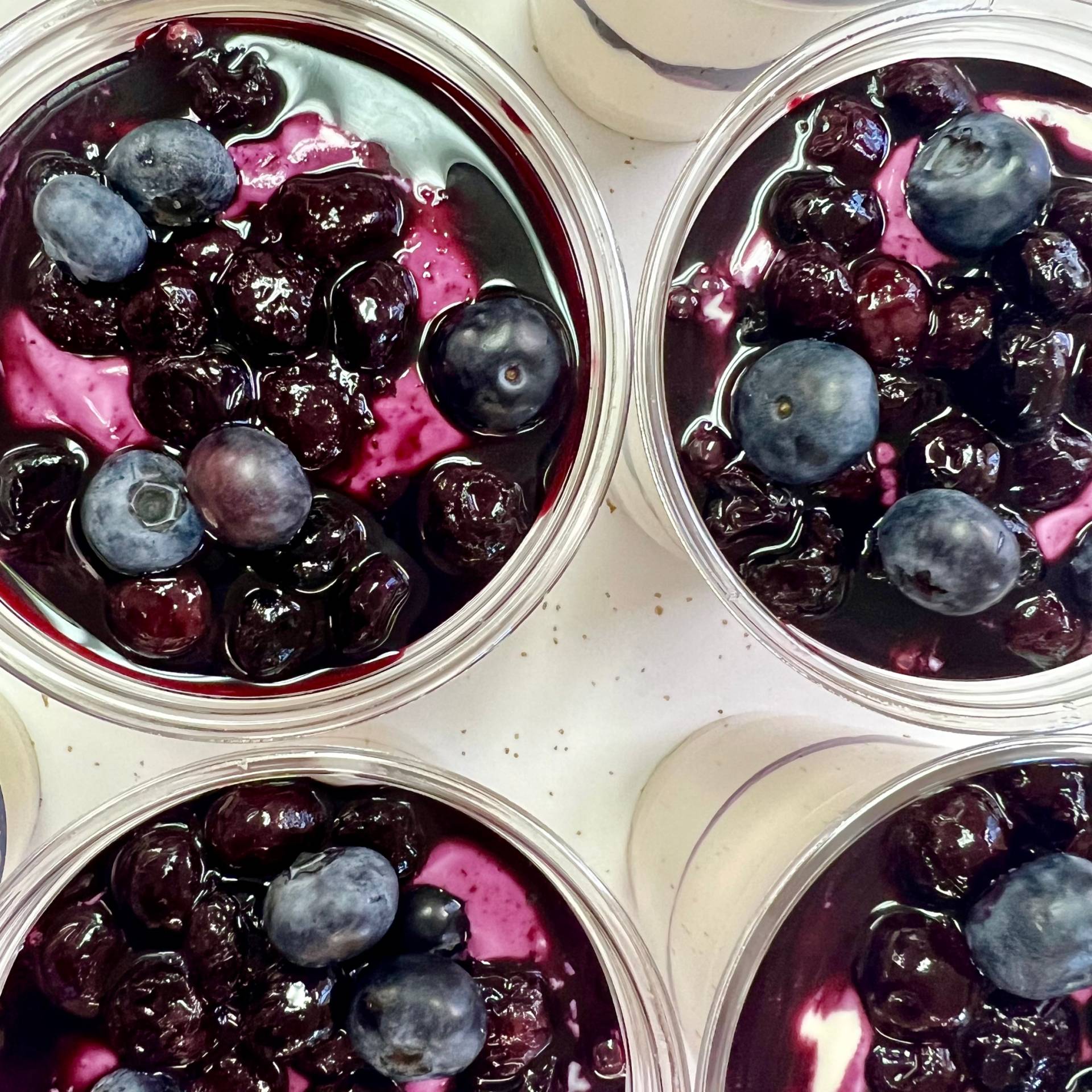 Lemon Blueberry Cheesecake Pudding